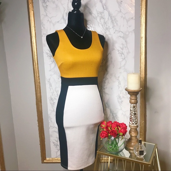 Gracie Dresses & Skirts - Colorblock Bodycon Dress